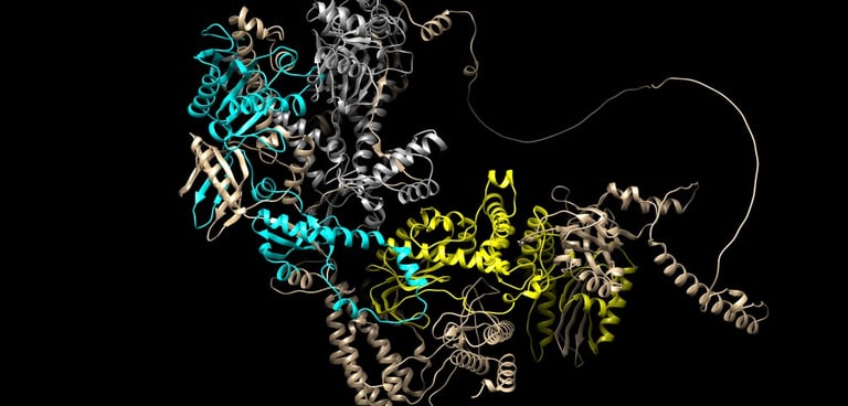 Análisis in silico de POLE predicha por AlphaFold por Dr. Pablo A. Méndez Médico Genetista