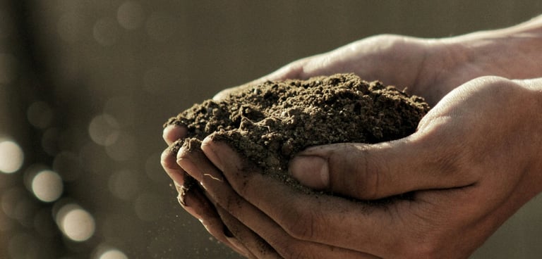 Soil in a person's hands