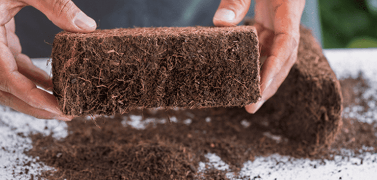compressed cocopeat blocks for export markets