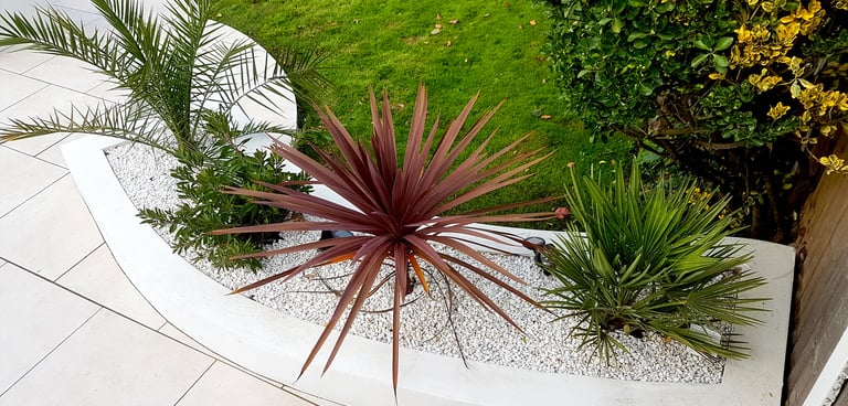 Modern chic raised porcelain patio with white rendered walls and planters