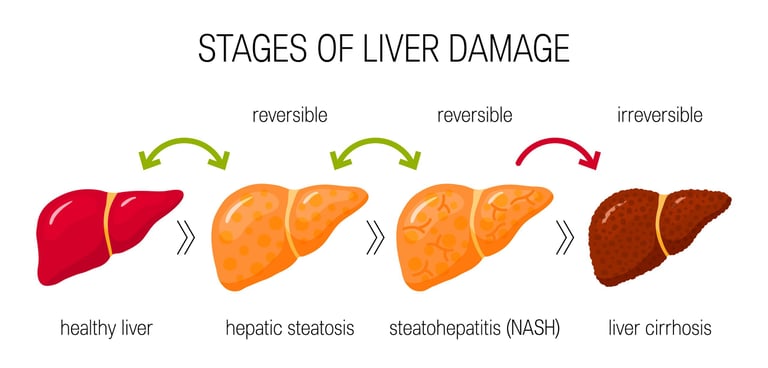 stages of fatty liver