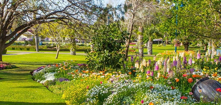 The flower beds at Laurel Bank Park in Toowoomba, Queensland.