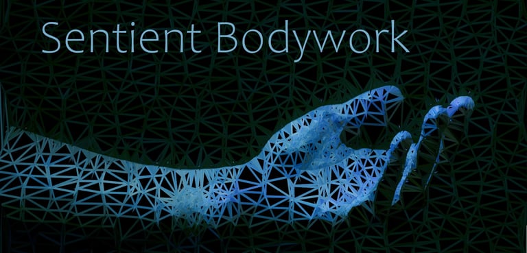The Sentient Bodywork Logo 