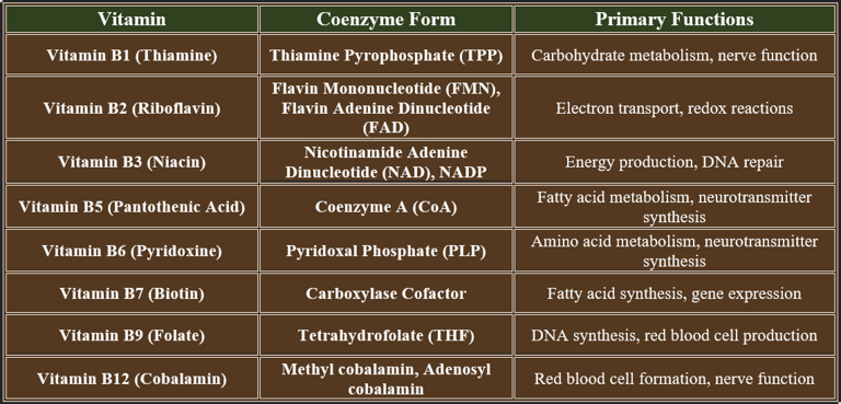 b complexas coenzymes & functions