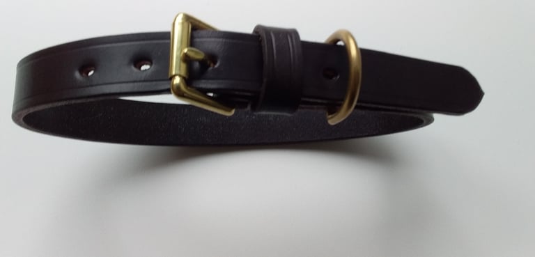 Brass fitting dog collar