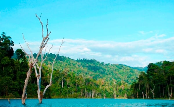 4 Days 3 Nights Royal Belum National Park Tour & Travel Packages