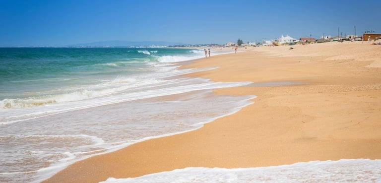 a beach with a person walking on the beach