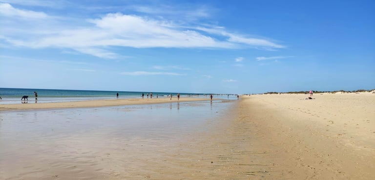 a beach with people walking on the sand