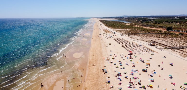 a beach with many umbrellas and umbrellas