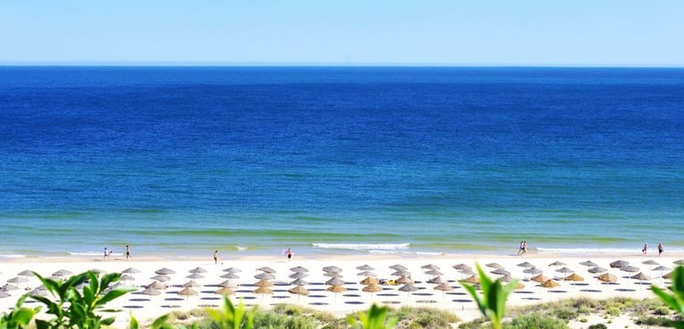 a beach with umbrellas and umbrellas on the beach