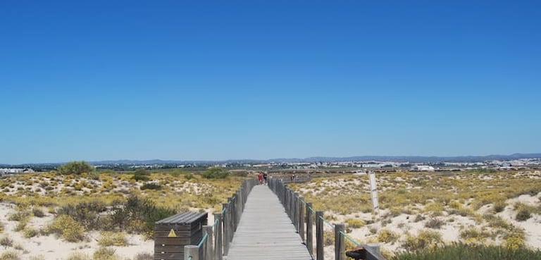 a wooden boardwalk with a wooden walkway leading to a beach