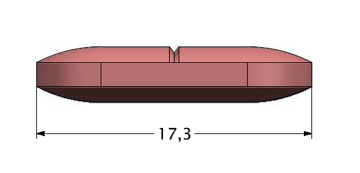Capsule