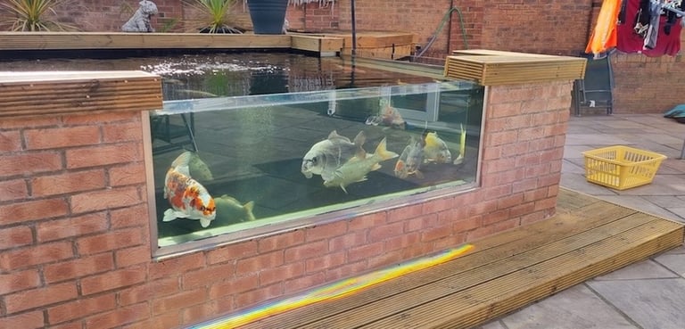 brick-and-block-pond