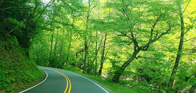 Smoky Mountains, N. Carolina Travel - scenic Hwy 74 thru Nantahala Forest
