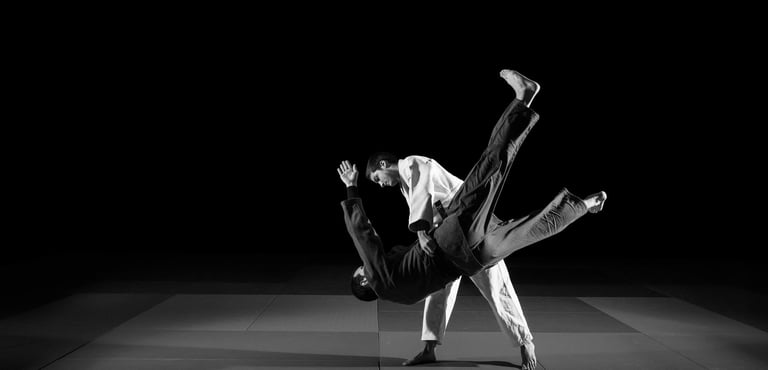 Contact Judo Paris 15 information renseignement