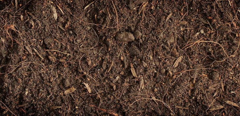 organic soil
