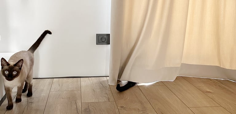 lengvas šviesos pridengimas