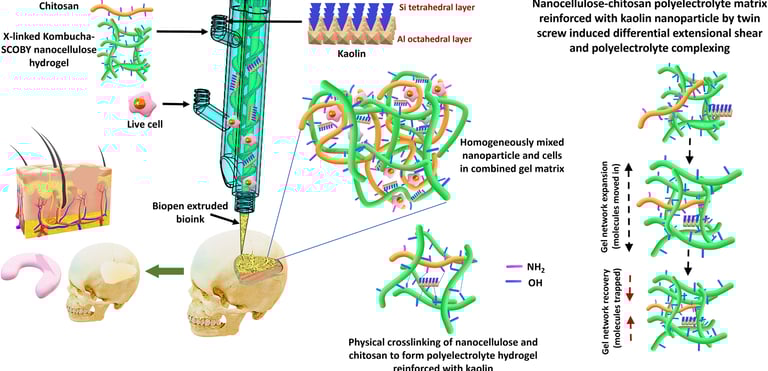kombucha nanocellulose bioink for tissue regeneration