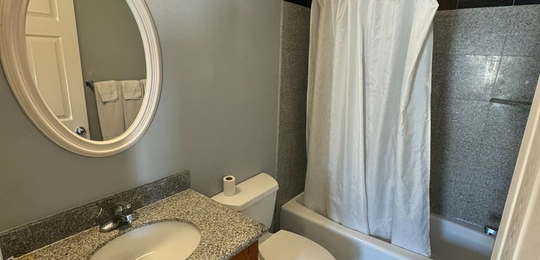a bathroom with a sink, toilet and a shower
