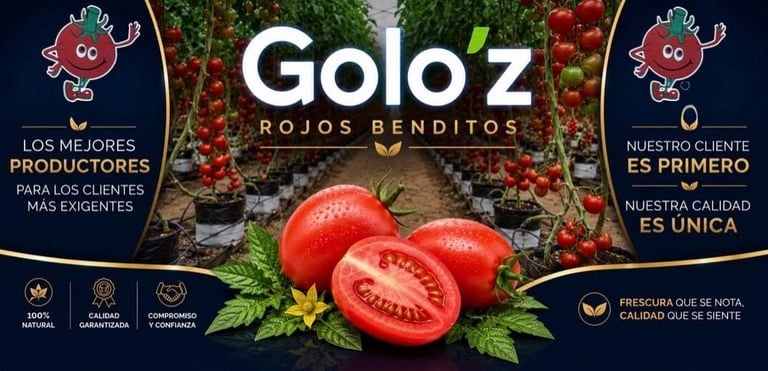 Banner principal de Golo'z Rojos Benditos, distribuidores de jitomates de alta calidad desde Puebla