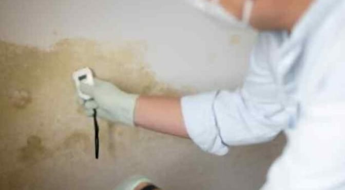 MoldWarden - Complete Mold Inspection