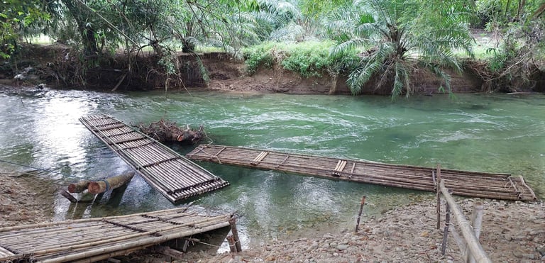 thailand khao lak bamboo rafting