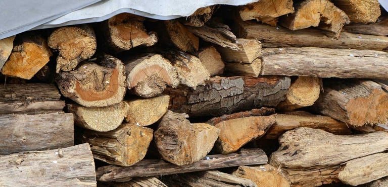 Ramonage ramoneur Nante reze vertou 