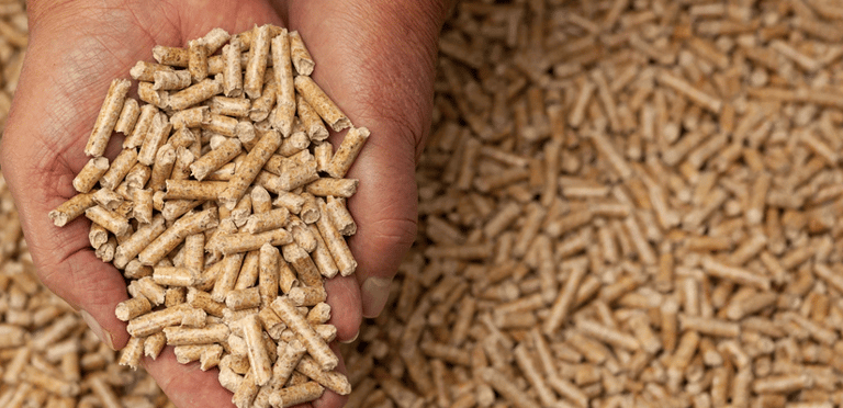 Ramonage Nantes Rezé sorinieres Ramoneur