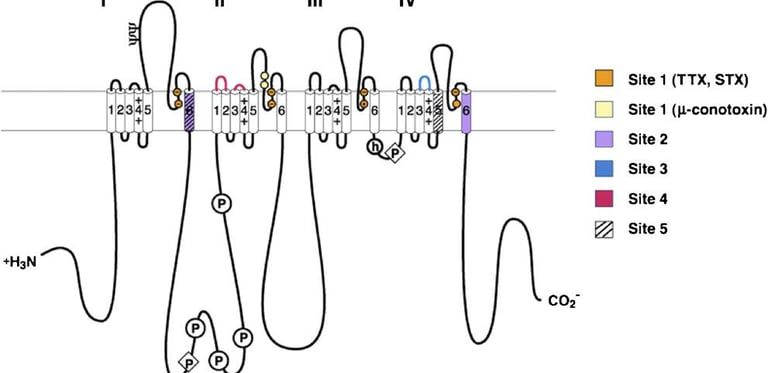Dr.Rajinikanth's ortho clinic sodium channel blockers injections