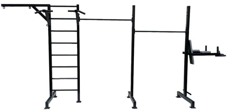 Multi-functional black steel calisthenics rack featuring pull-up bars and a wall bar ladder for home gyms.