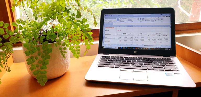 Relaxed office view with fern and laptop showing excel profit & loss template