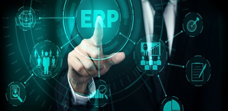 ERP Implementation & Setup