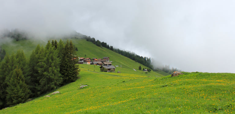 Misty landscape of a Swiss mountain village with wooden chalets and green meadows filled with yellow wildflowers.