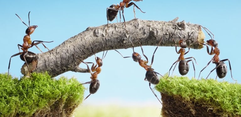 Idée de résolution personnelle