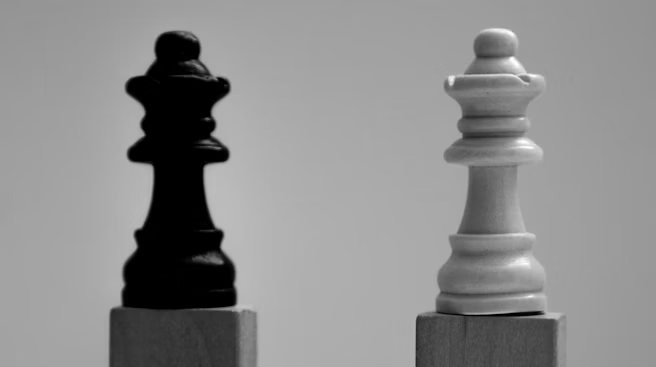 Black vs White Chess Piece