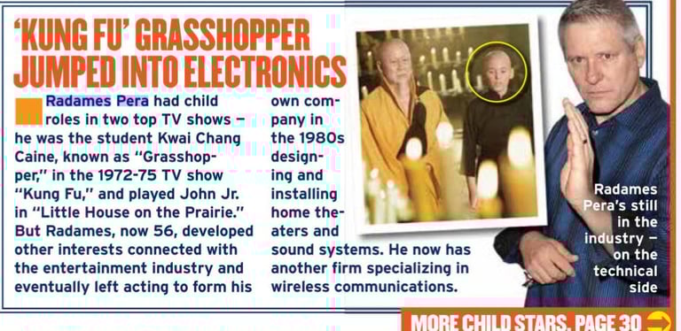 kung fu grasshopper jumped into electronics