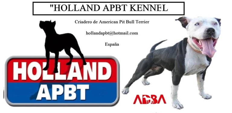HOLLAND APBT KENNEL APBT ADBA GAMEDOG
