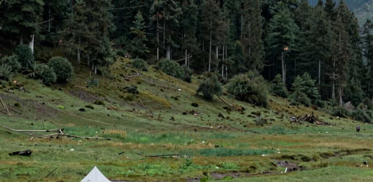 black blue and yellow textile