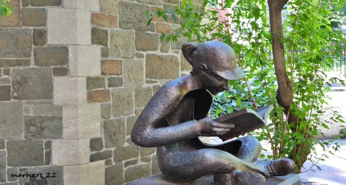 La liseuse, bibliothèque, St-Jean Baptiste Québec.