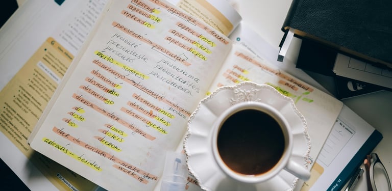 Voyager sans parler la langue