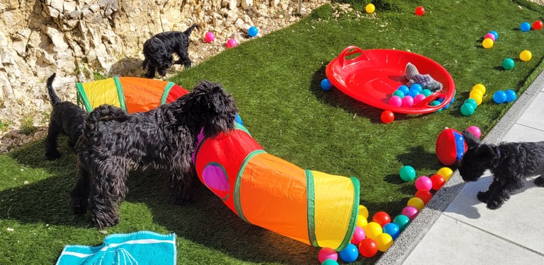 Trudi vom Spakenberg