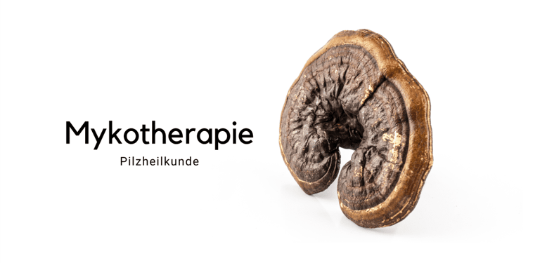 Mykotherapie - Pilzheilkunde