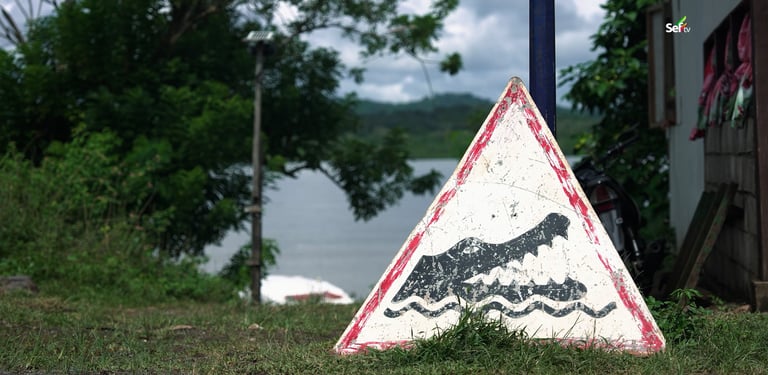 Balabac Crocodile Warnings
