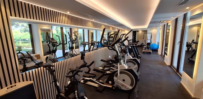Modern gym at Villa El Rincon with garden views