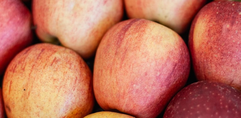 Pomme bio du verger familial en Savoie