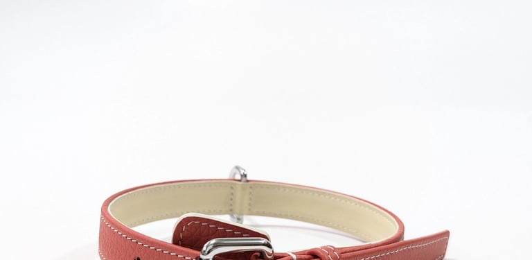 Collier de chien en cuir