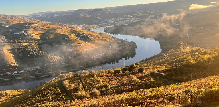 Douro Valley