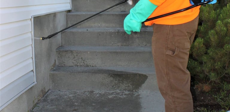how to keep bugs out of house