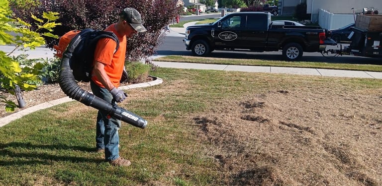 Lawn Power Raking and Thatch removal company