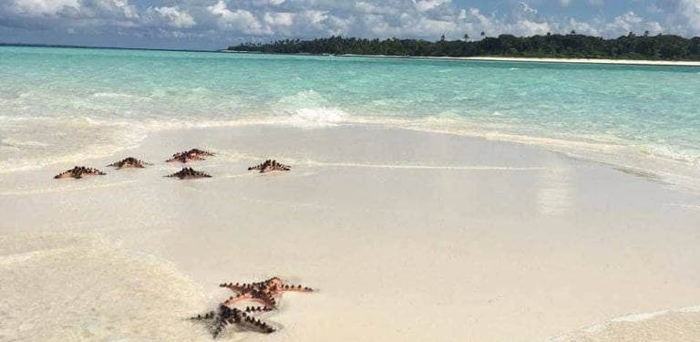 Starfish 3D2N Expedition Balabac Palawan